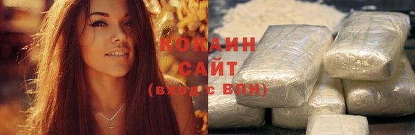 шишки Верея