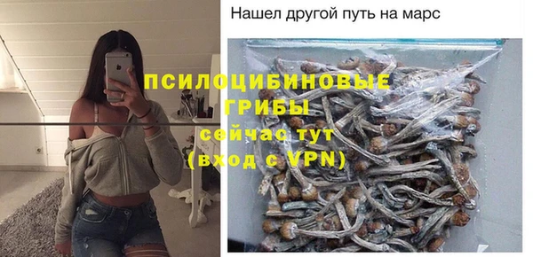 кокс Бородино
